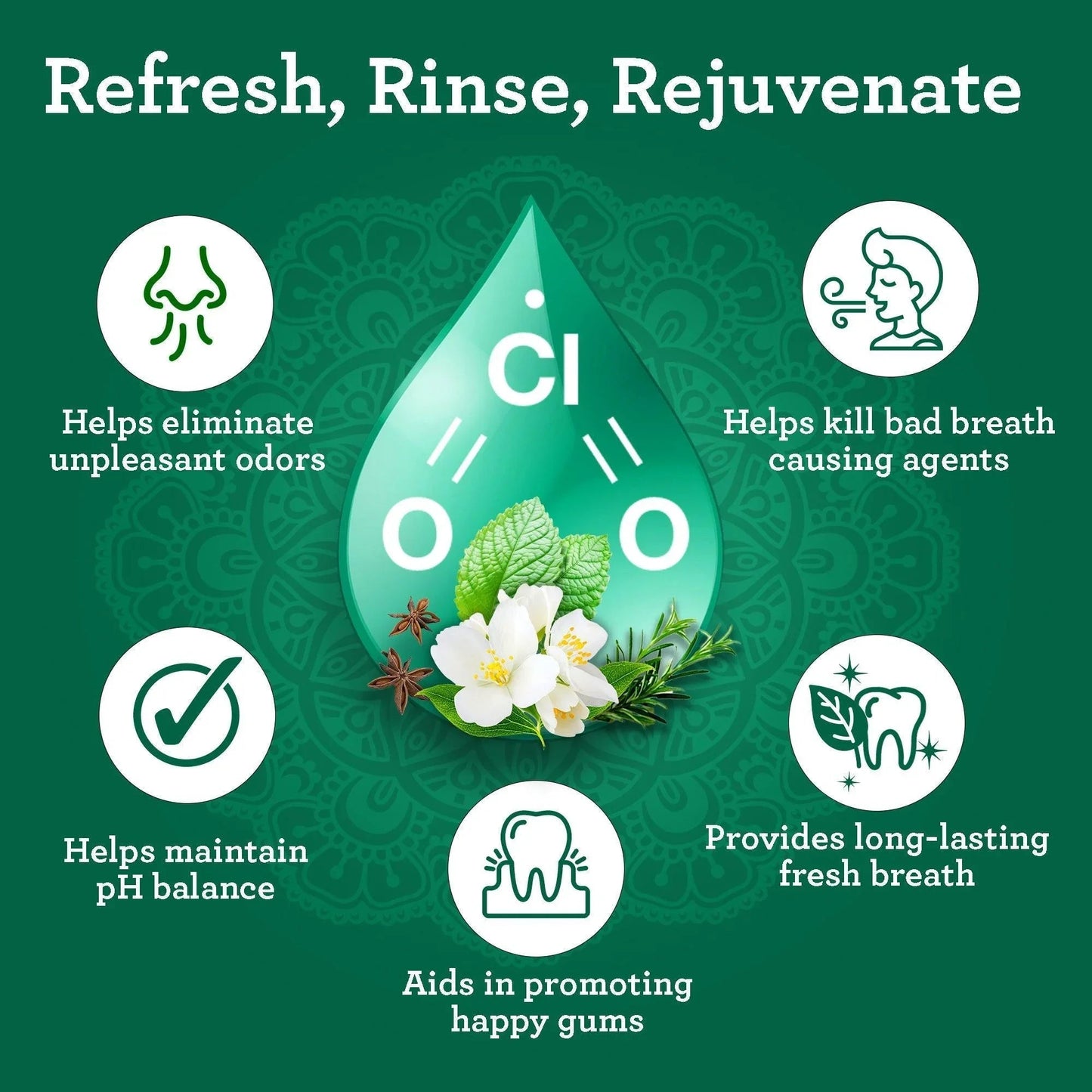 Dual Barrel Breath Harmonizer Mouthwash - Wild Mint - 20oz